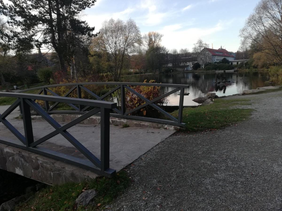 Guglhupf Wohlfuehl-Maisonette Mit Boxspring, Disney, Netflix Braunlage Exterior foto
